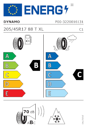 Etichetta per gomma: DYNAMO, SNOW-H MSL01 205/45 R17 88T Invernali